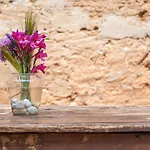 Finca Ses Rotetes